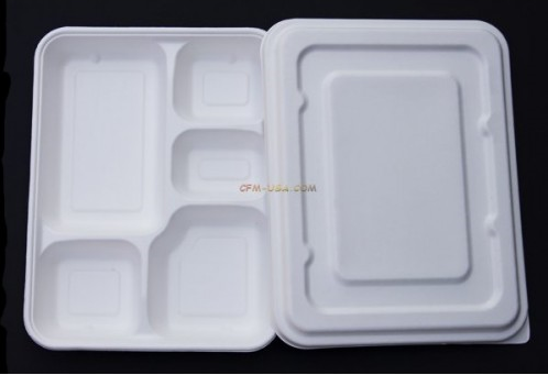 Eco Fiber 11 inches 5-comprment Bento Box 400ct